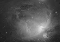 orione