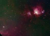 m42testa