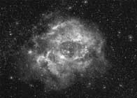 rosetta