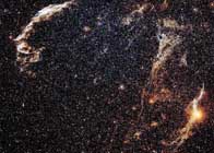 filamentosa