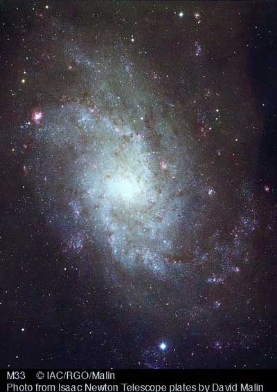 t5